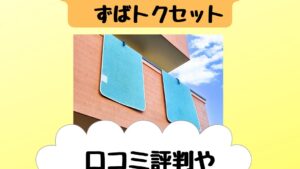 モリリン洗えるサラッと除湿シートずばトクセットと西川の違い！口コミは？