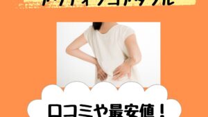 姿勢インストラクターアクティブコアダブルの口コミや最安値！【いいものプレミアム】